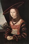 CRANACH, Lucas the Elder Portrait of a Woman dfg oil painting on canvas